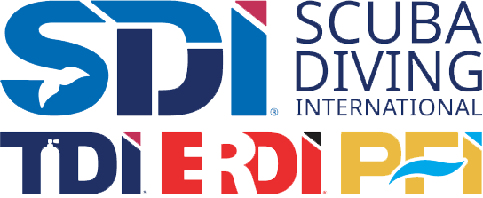 SDI TDI